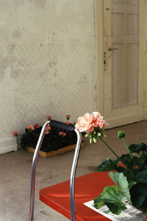 Anke Zürn: Garten, 1999