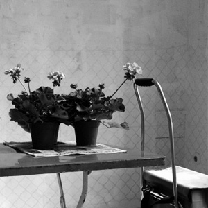 Anke Zürn: Der Garten