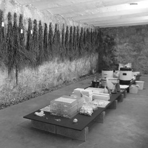 Anke Zürn, MAKING GOLD, espace libre, Biel, 2014